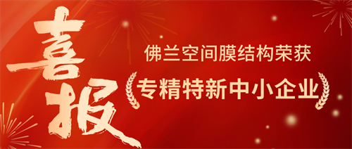 特大喜訊：佛蘭空間榮獲專精特新榮譽，技術創新再攀高峰